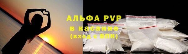 PSILOCYBIN Майский